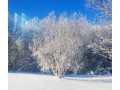 Property photo 58