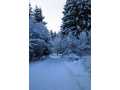 Property photo 60