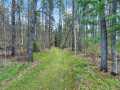 Property photo 50
