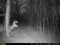 Property photo 50