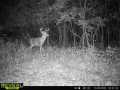 Property photo 53