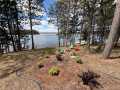 Property photo 52
