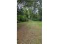 Property photo 52