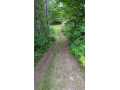 Property photo 53