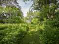 Property photo 51