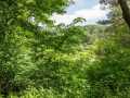 Property photo 53
