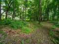 Property photo 54