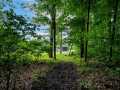 Property photo 55