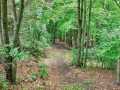Property photo 51