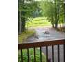 Property photo 52