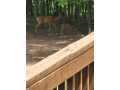 Property photo 53