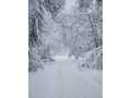 Property photo 54