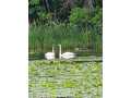 Property photo 55