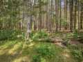 Property photo 60