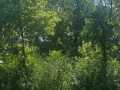 Property photo 50