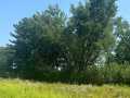 Property photo 51