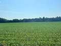 Property photo 56