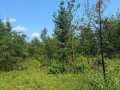 Property photo 57