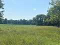 Property photo 59