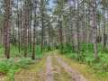 Property photo 44