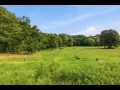 Property photo 54