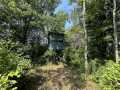 Property photo 54