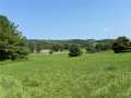 Property photo 56