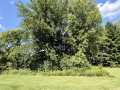 Property photo 56