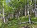 Property photo 46