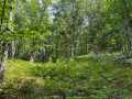 Property photo 50