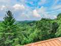 Property photo 54