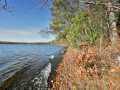 Property photo 56