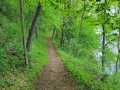 Property photo 48