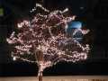 Property photo 54
