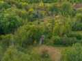 Property photo 37