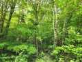 Property photo 40