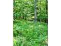 Property photo 50