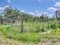 Property photo 56