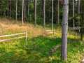 Property photo 52
