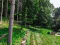Property photo 53