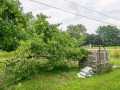 Property photo 46