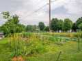 Property photo 47