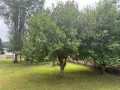 Property photo 53