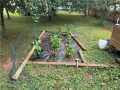 Property photo 54