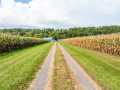 Property photo 60