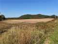 Property photo 50