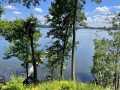 Property photo 54