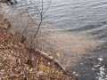 Property photo 57
