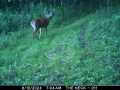 Property photo 47