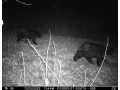 Property photo 50